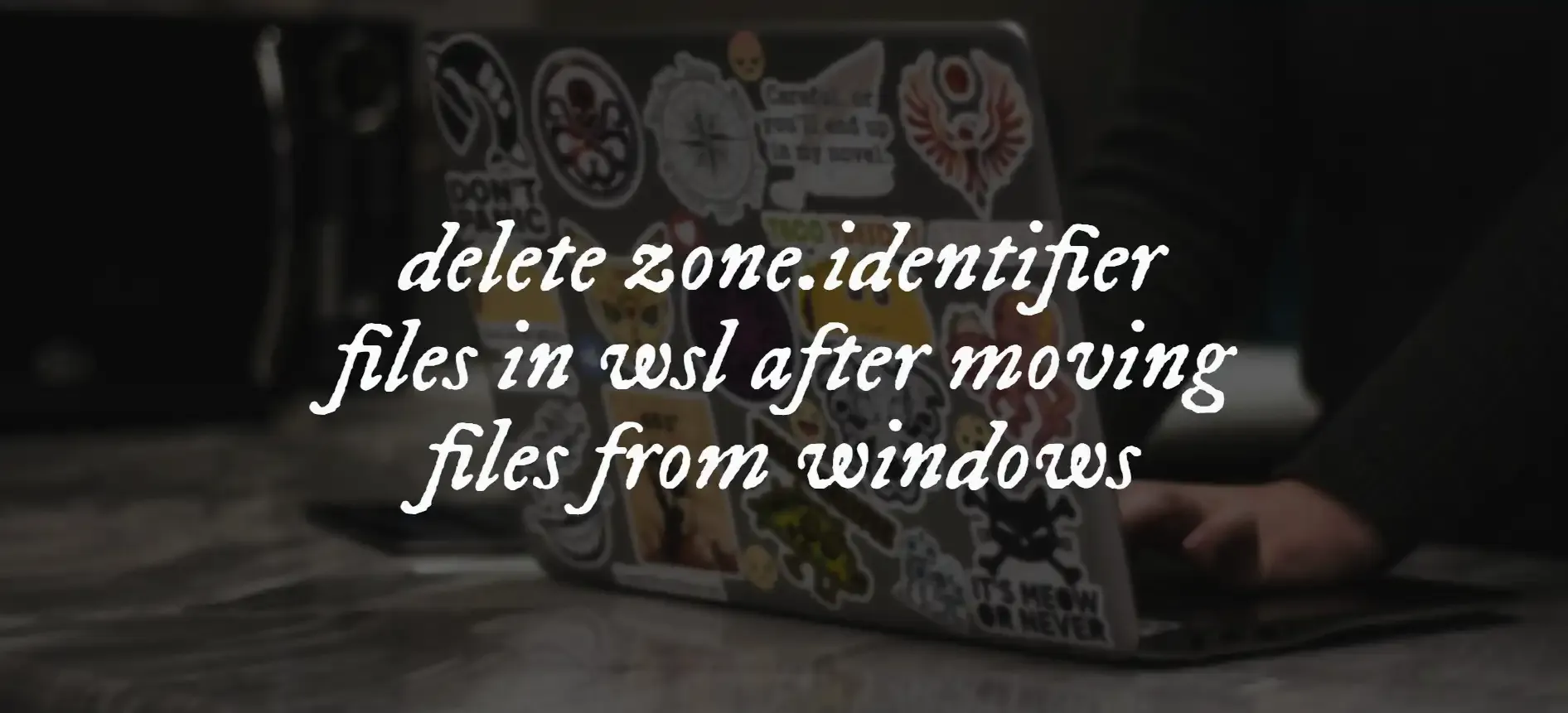 An image with the text "delete zone.identifier files in wsl after moving files from windows"