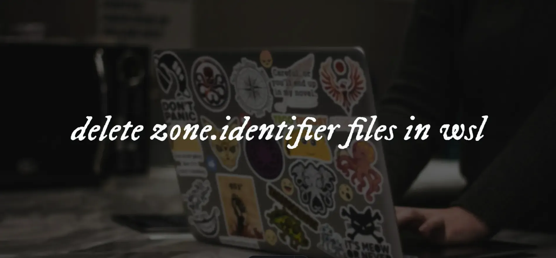 An image with the text "delete zone.identifier files in wsl"
